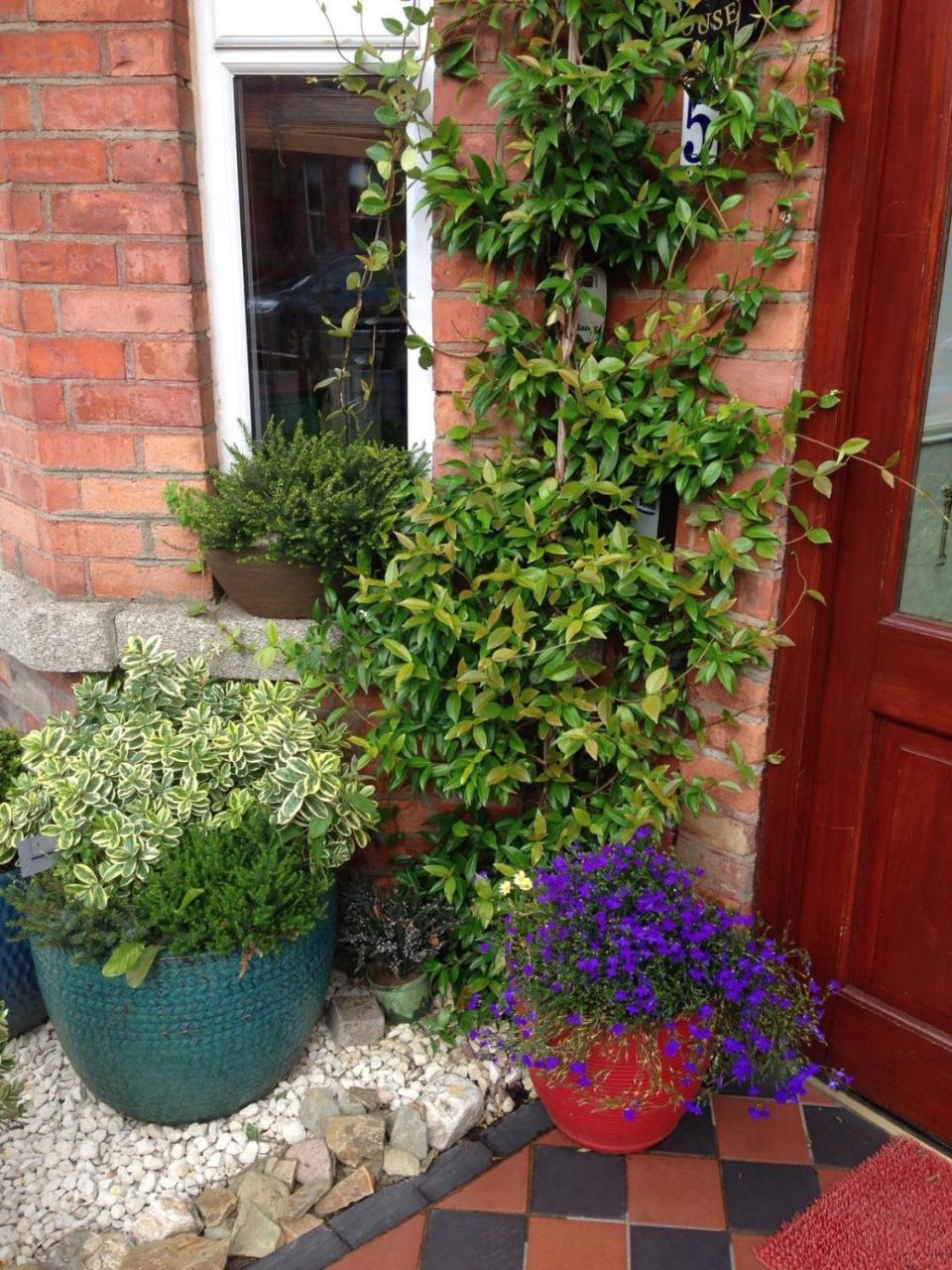 Acara House B&B Dublin Exteriör bild